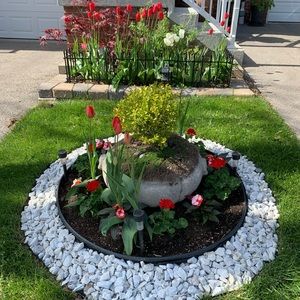 Meet your Posher, Noel